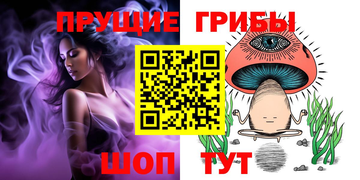 Галлюциногенные грибы GOLDEN TEACHER  Вход с VPN  Буйнакск  Галлюциногенные грибы MAGIC MUSHROOMS 